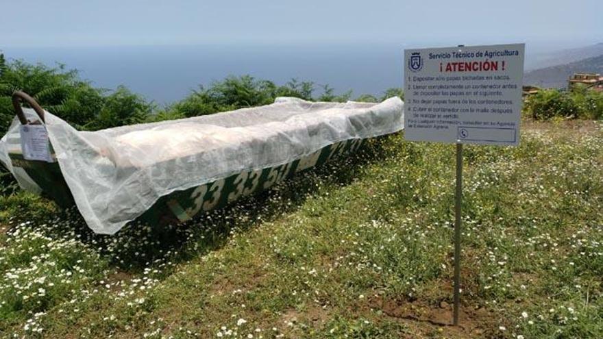 Instalan contenedores para depositar papas afectadas por polilla guatemalteca