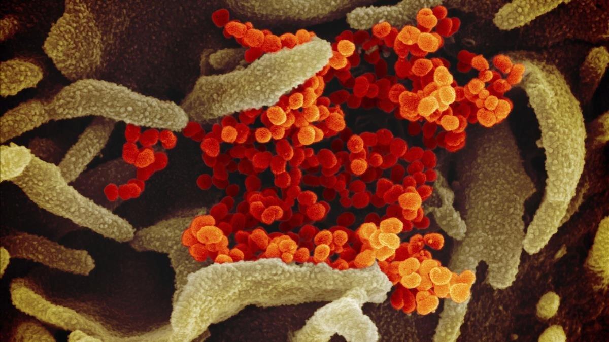 zentauroepp52336690 ana200424121237 zentauroepp52336690 ana200424121237