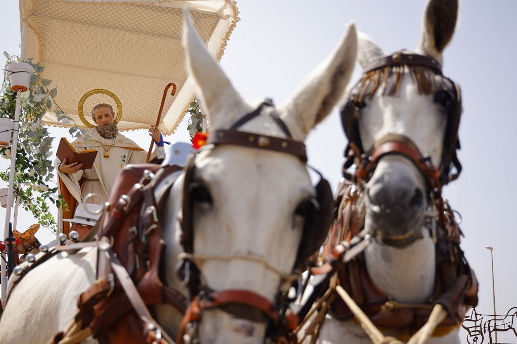 ROMERIA SAN GINES 2024 -20.jpg