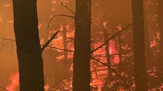 En imágenes | Los incendios forestales se adelantan este 2023: arden Castellón y Teruel