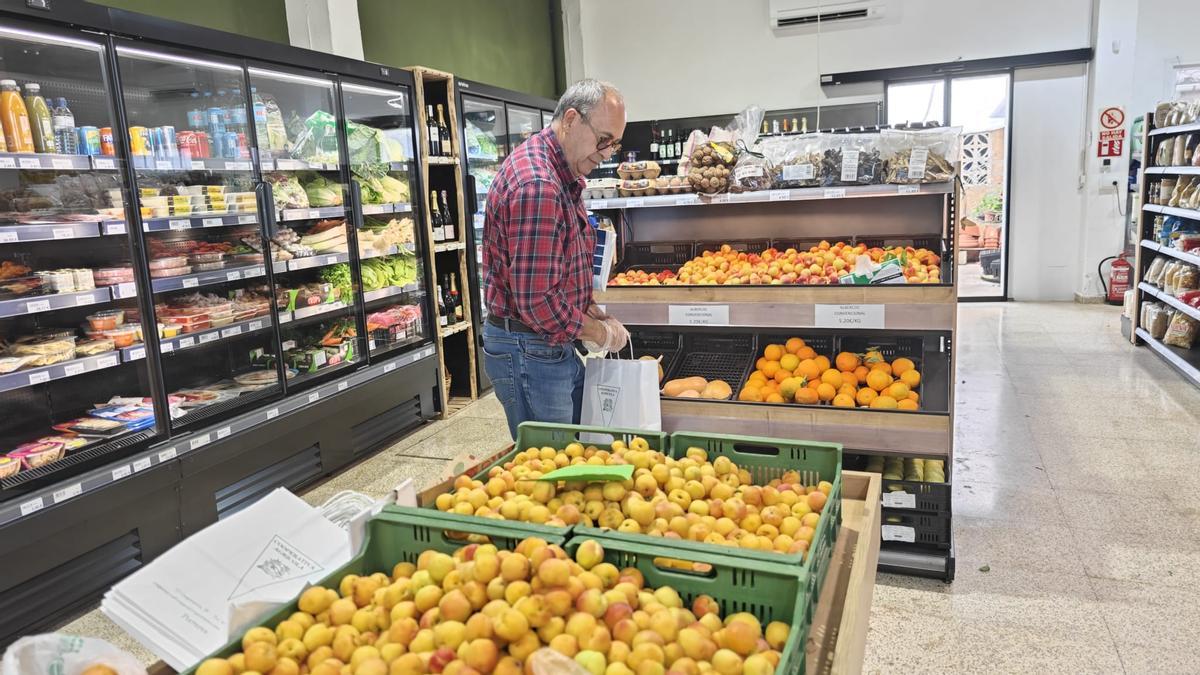FOTOS | La campaña de albaricoques en la Cooperativa de Porreres, en imágenes
