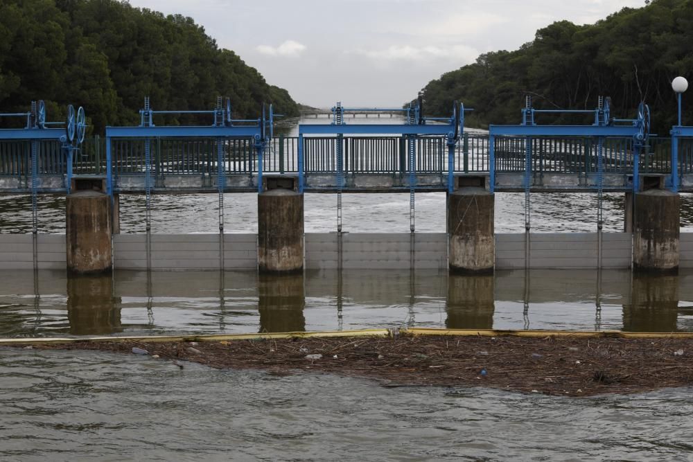 Nivel del agua en El Palmar tras la gota fria.