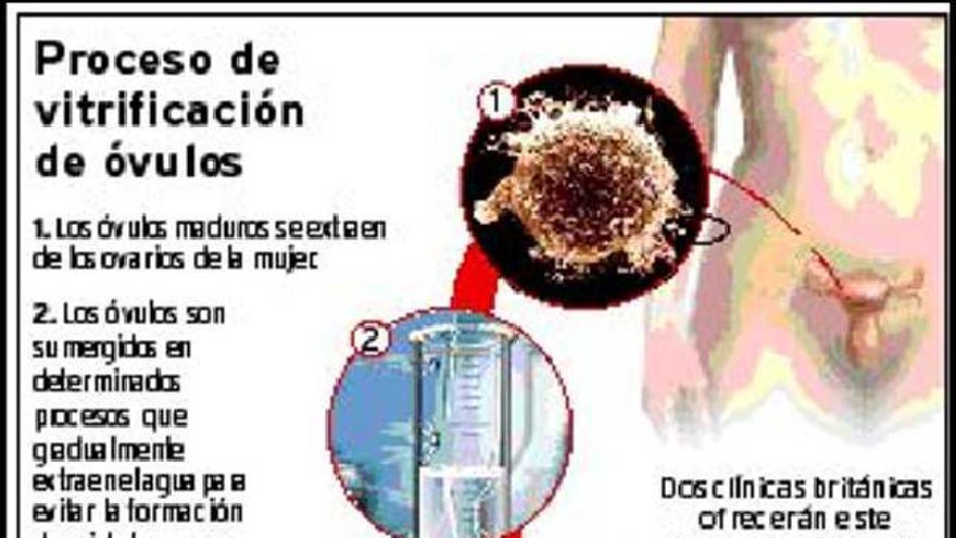 fondo sorpresa Conmoción Una nueva técnica permite congelar los óvulos con mayor seguridad - La  Nueva España