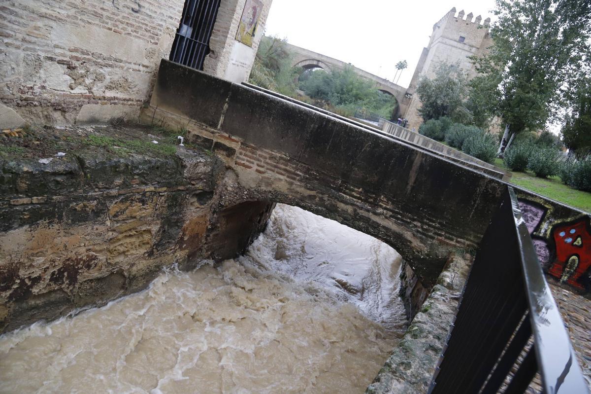 A.J.González Córdoba Efectos de la borrasca Claudia sobre el río Guadalquivir lluvia temporal