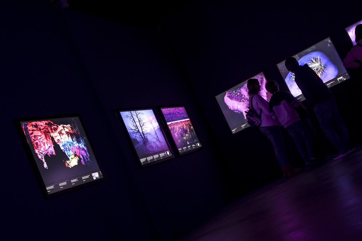 Sala dedicada al color violelta en la exposición ‘Los colores del mundo’