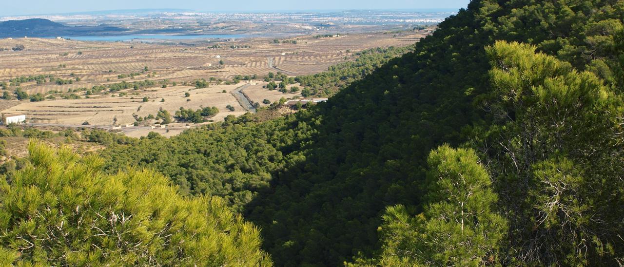 Umbría de Sierra Escalona con el embalse de La Pedrrera y la zona litoral de la Vega Baja, al fondo