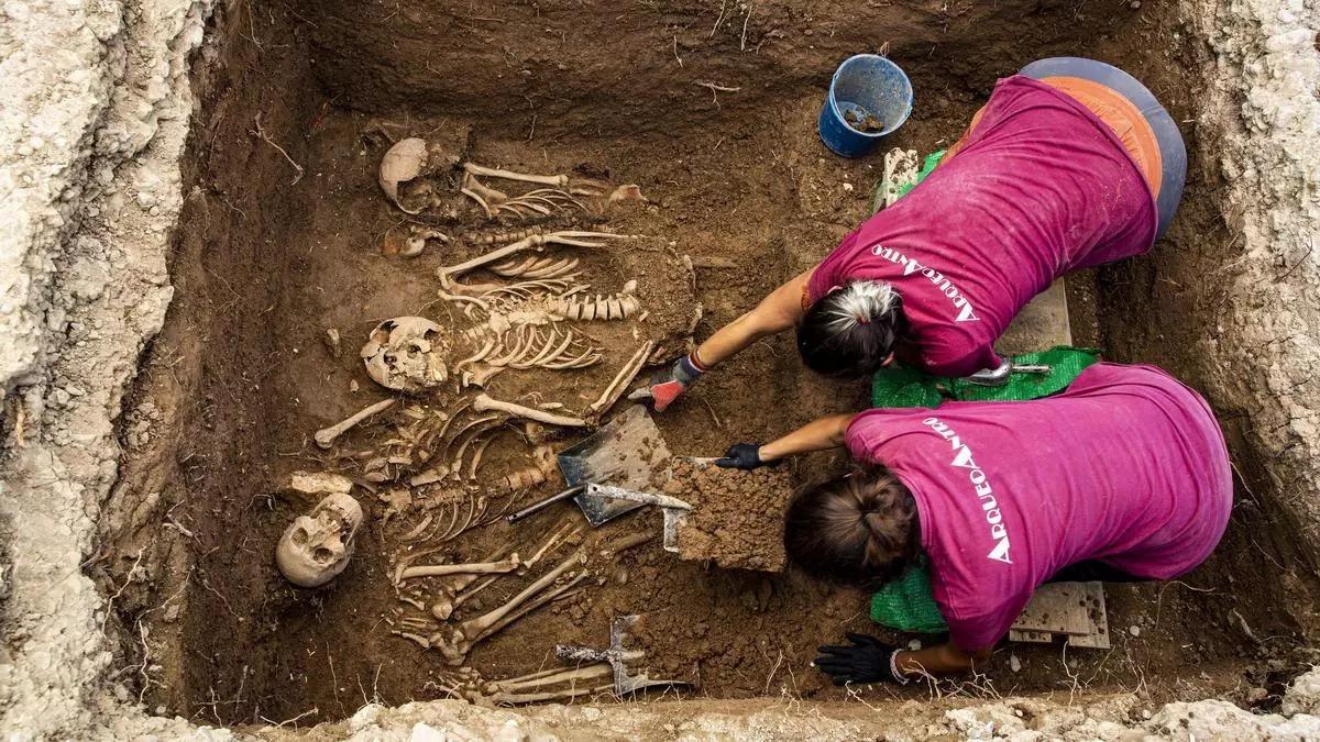 Trabajos de exhumación de víctimas del franquismo