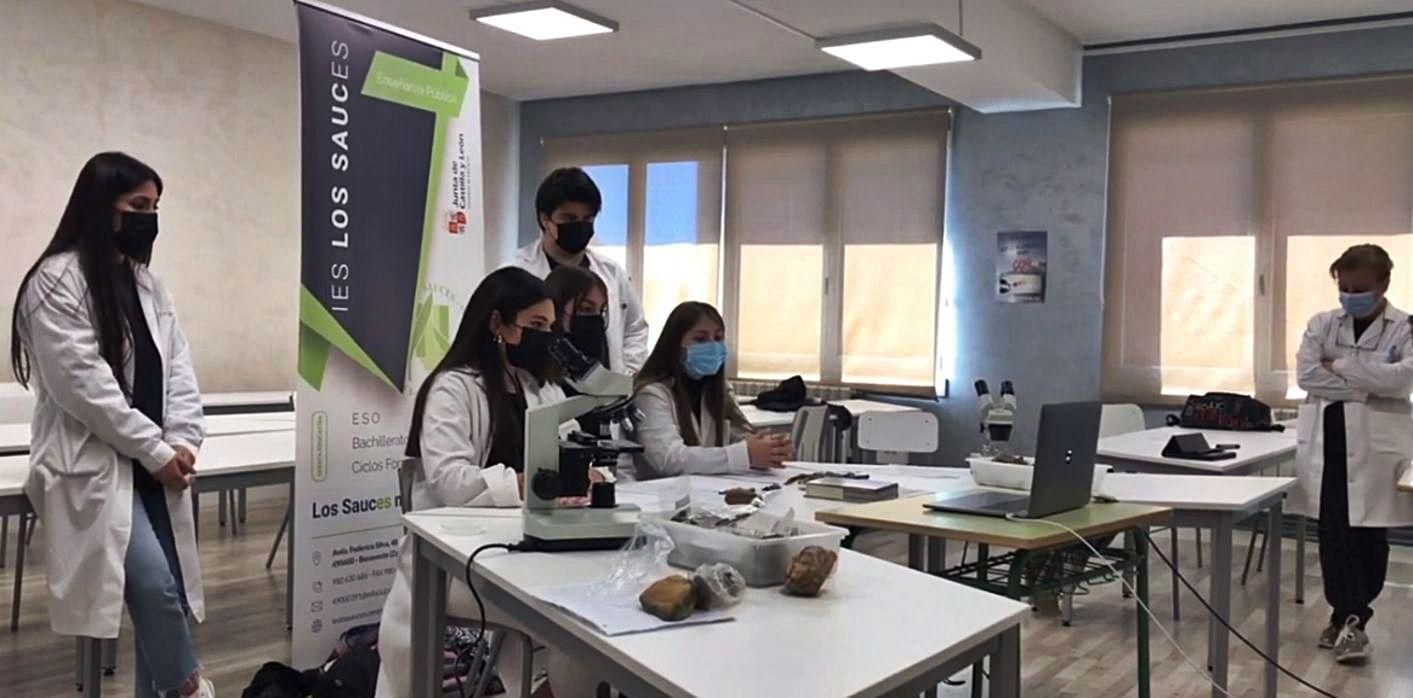 Los estudiantes del IES Los Sauces de Benavente, durante la presentación de su proyecto. | Cedida