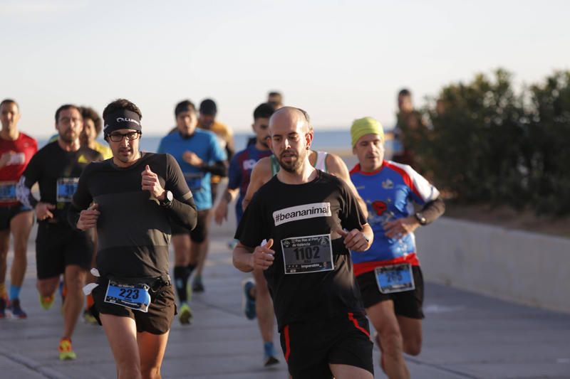 Búscate en la XXXII Pas Ras al Port de València