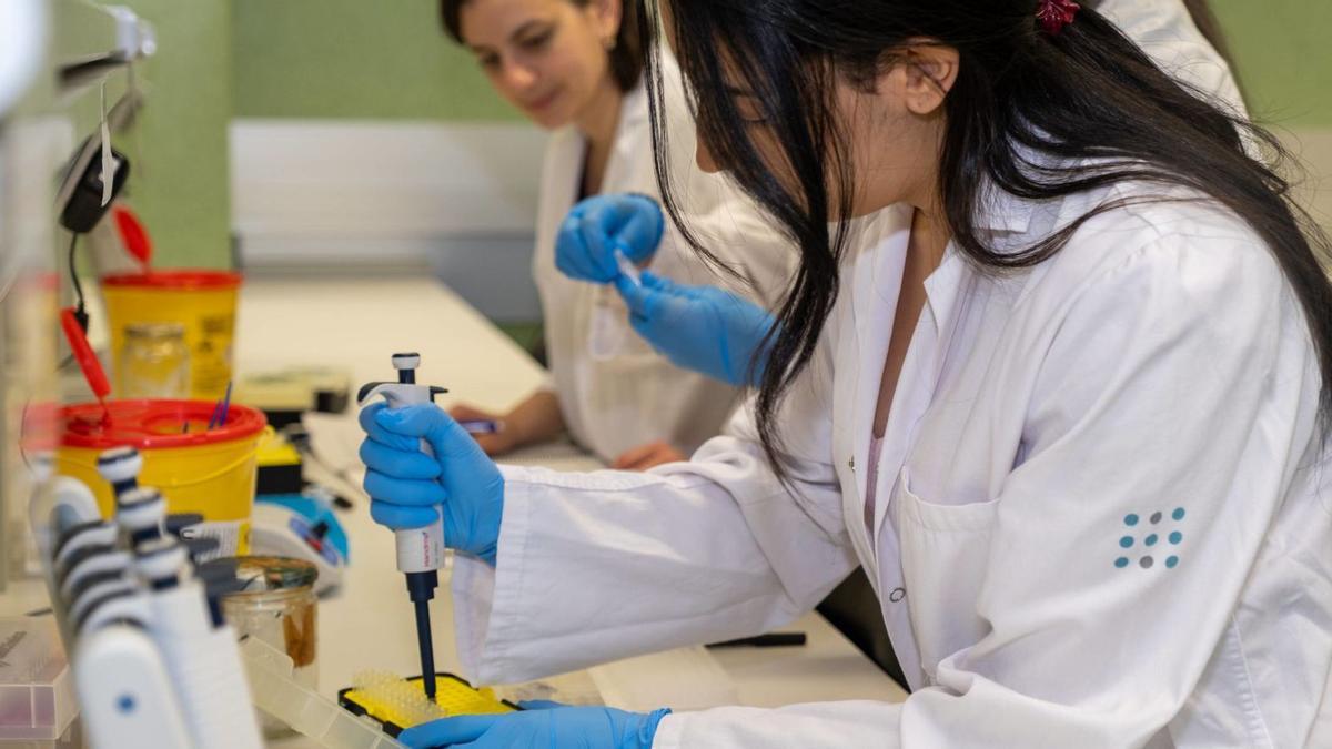 Varias alumnas en una formación sobre ‘superbacterias’ que se impartió el año pasado en Son Espases para especialistas de todo el mundo.