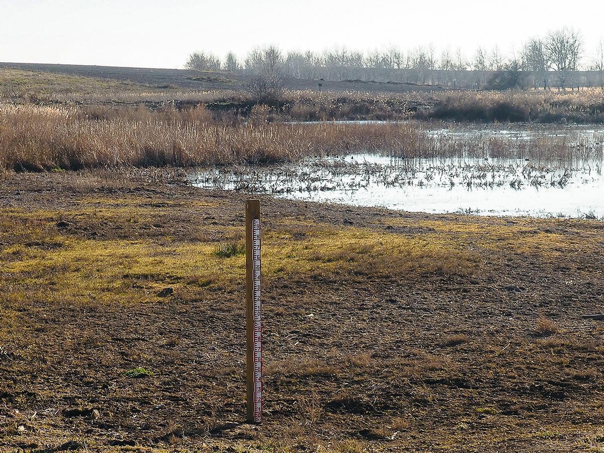 Medidor de profundidad del agua junto a la Laguna Permanente de las Tablas de Daimiel el 29 enero de 2023.