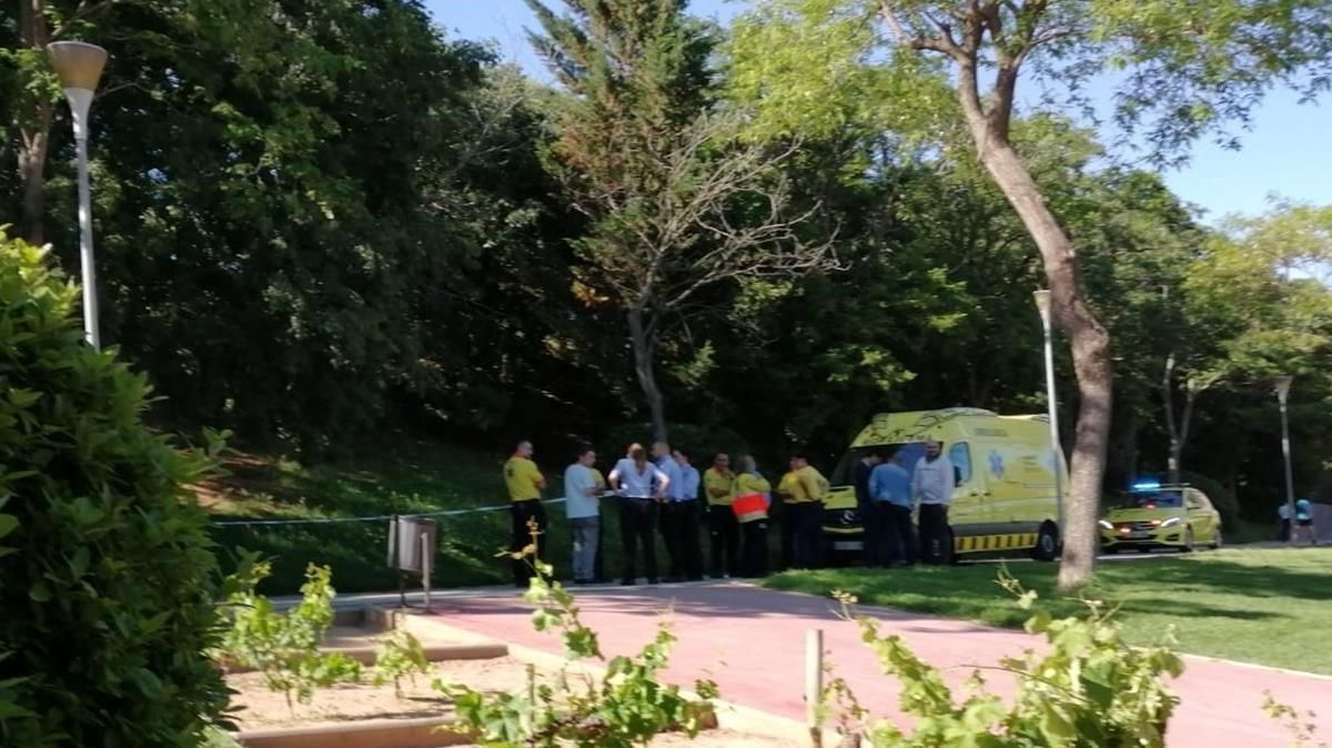 zentauroepp48416641 esplugues de llobregat 31 05 2019 los mossos encuentran el c190531205100 zentauroepp48416641 esplugues de llobregat 31 05 2019 los mossos encuentran el c190531205100
