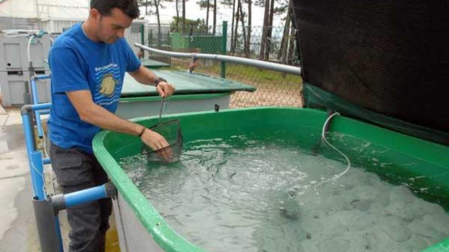 Alumnos del Igafa, en las instalaciones del centro situado en A Illa de Arousa.