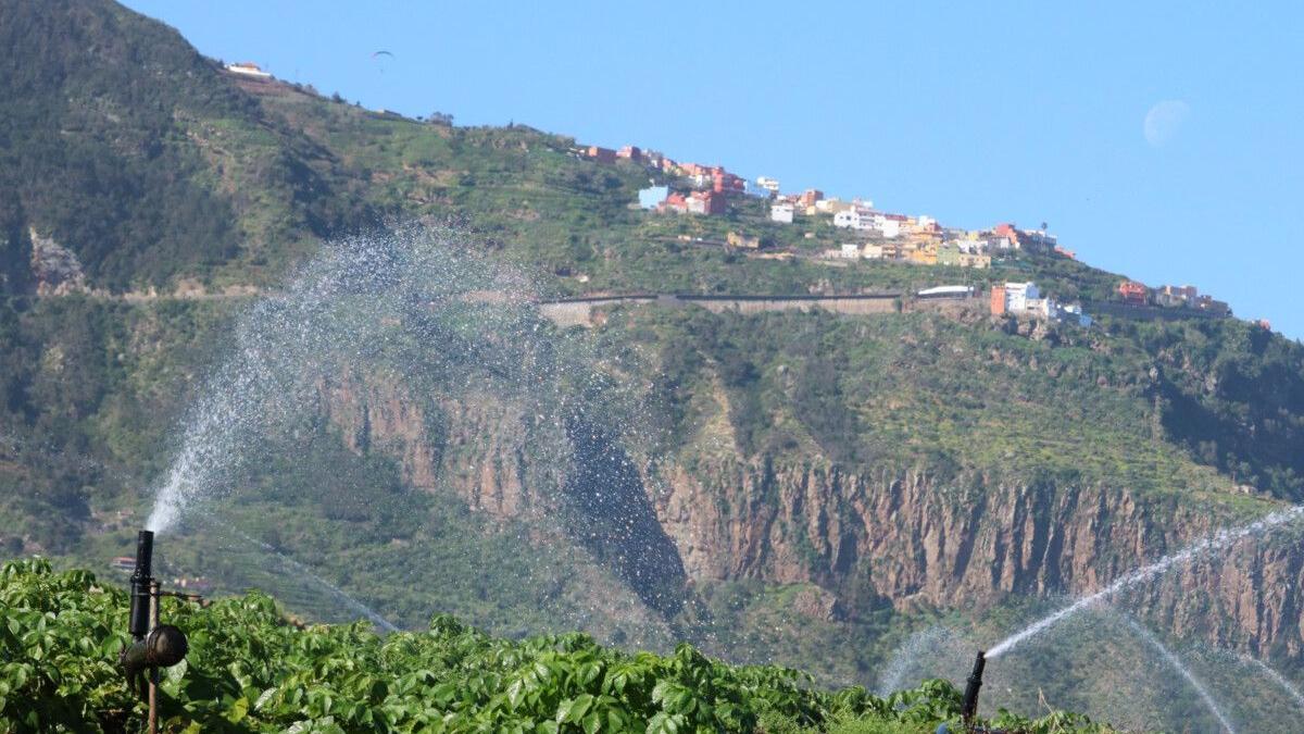Imagen del sistema de riego instalado en la finca de Las Llanadas, en Los Realejos