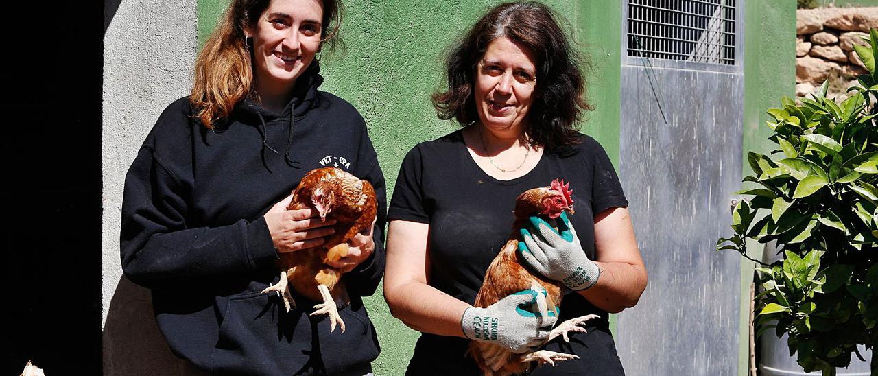 Una nueva vida en Ibiza como granjeras en la pandemia