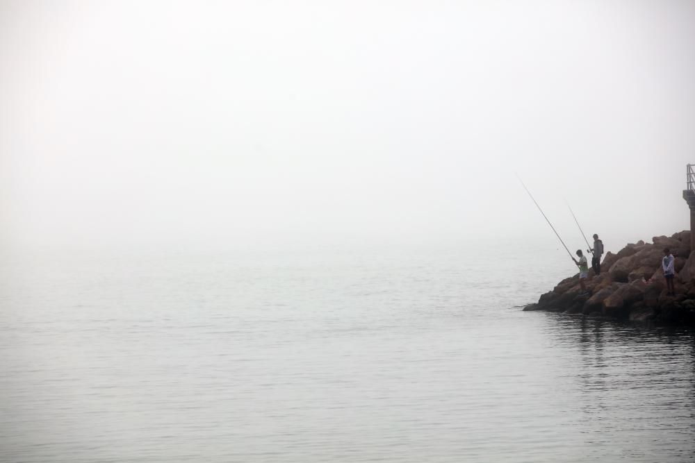 Palma amanece cubierta por la niebla