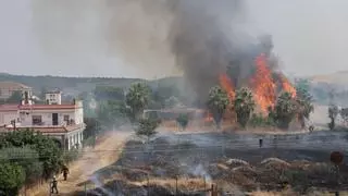 Un gran incendio de pastos junto al Parque Joyero moviliza a todos los bomberos de Córdoba