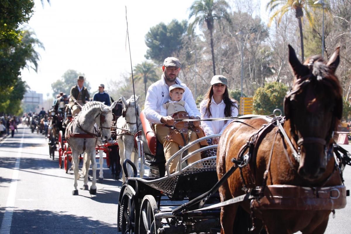 Cientos de caballistas y engances participan en la Marcha Hípica del 28-F en Córdoba