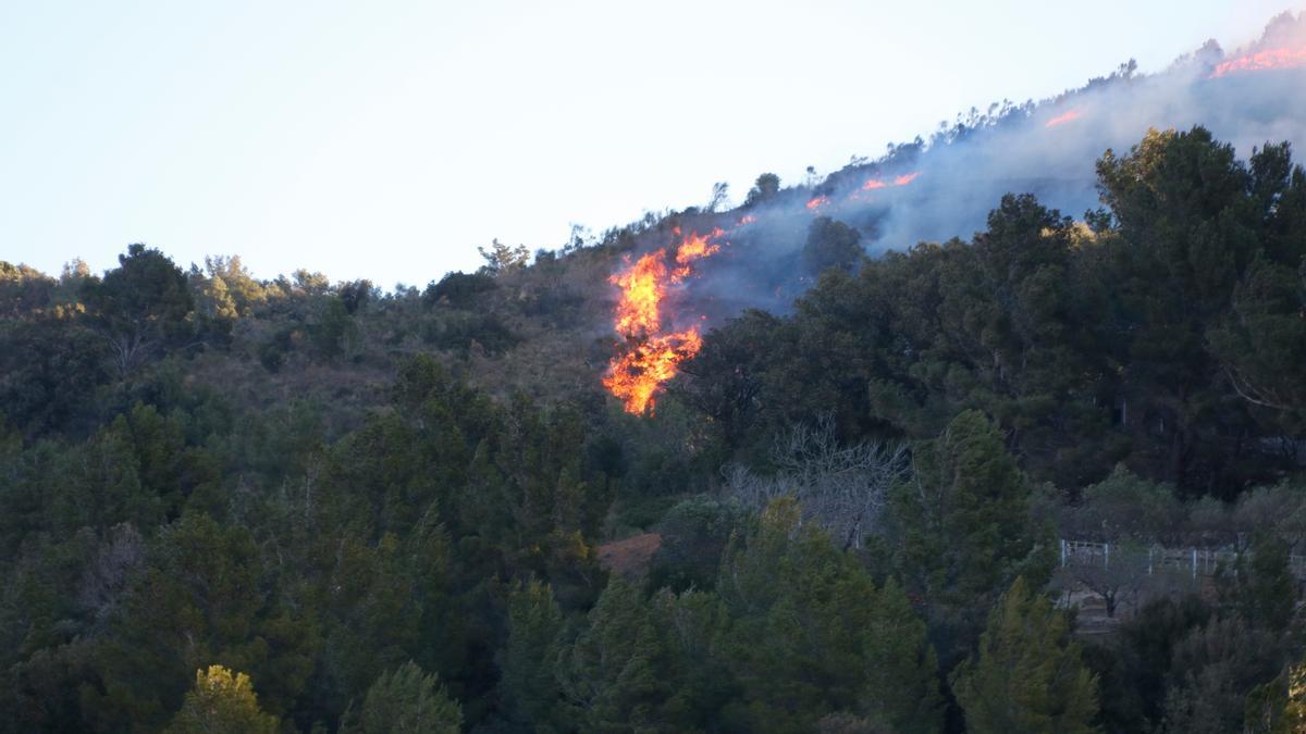 Incendi de vegetació