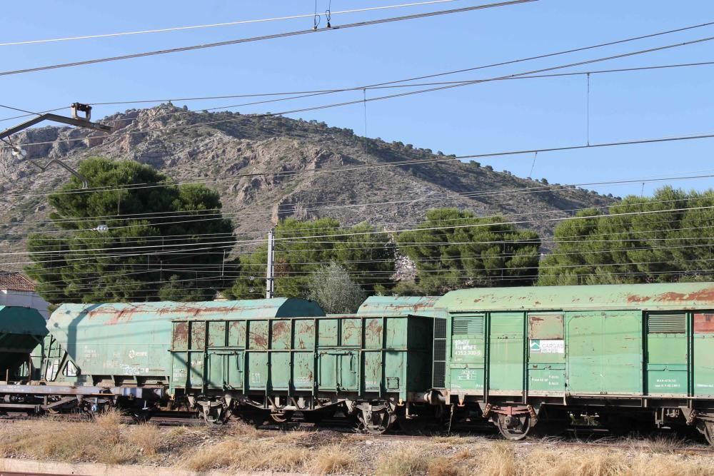 Vagones de mercancías, con la cumbre del cerro del Rocín al fondo.