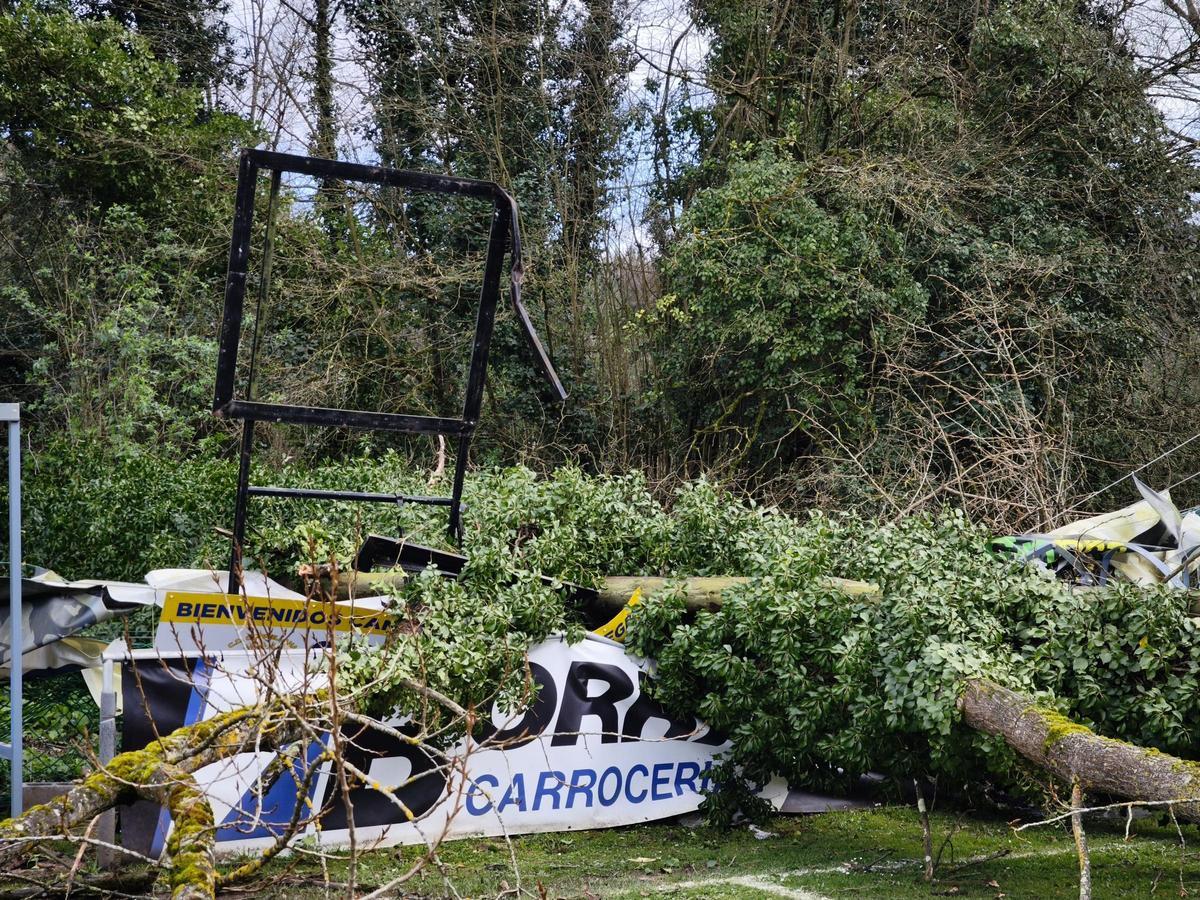 Las vallas publicitarias del campo, aplastadas tras la caída de árbol.
