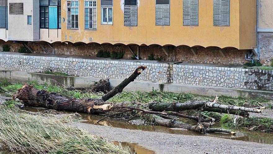 Girona La riuada deixa un tronc de grans dimensions a l&#039;Onyar