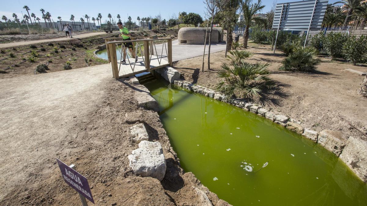 Los vecinos denuncian la presencia de mosquitos y “agua verde” del ...