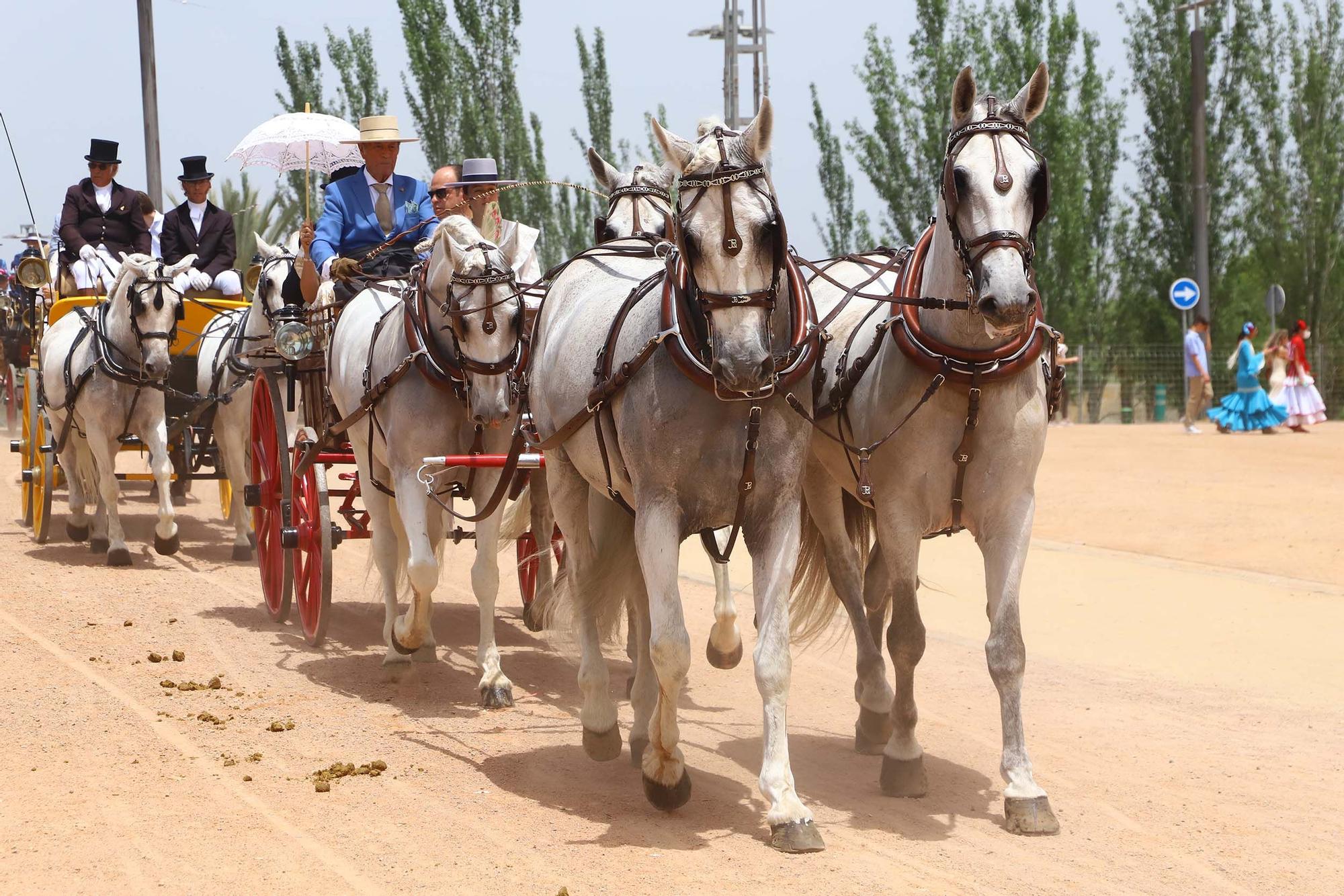 Una treintena de carruajes exhiben calidad y tradición en la Feria