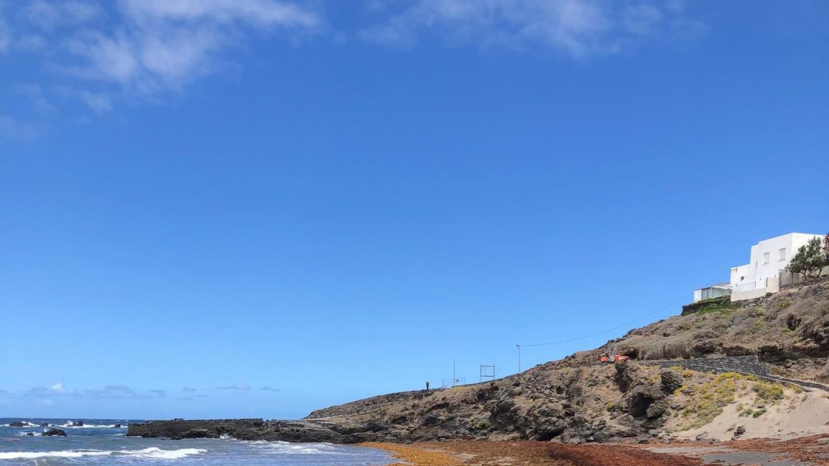 El litoral del municipio de Arico lleno de algas.