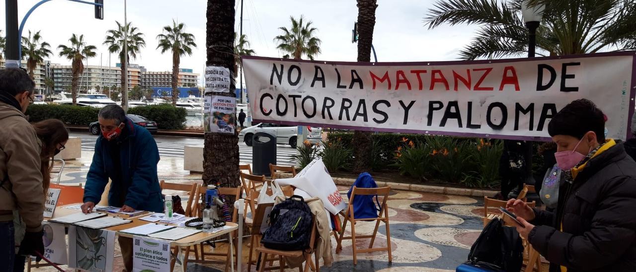 Actividad celebrada en la Explanada