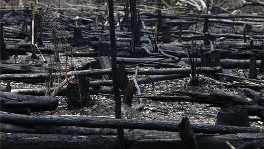 Un juez peruano señala a Bolsonaro como el culpable de los incendios en la Amazonia