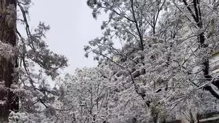 Una 'llevantada' intesificará las lluvias y nevadas en Catalunya este lunes y martes y dejará acumulaciones de hasta 200 litros