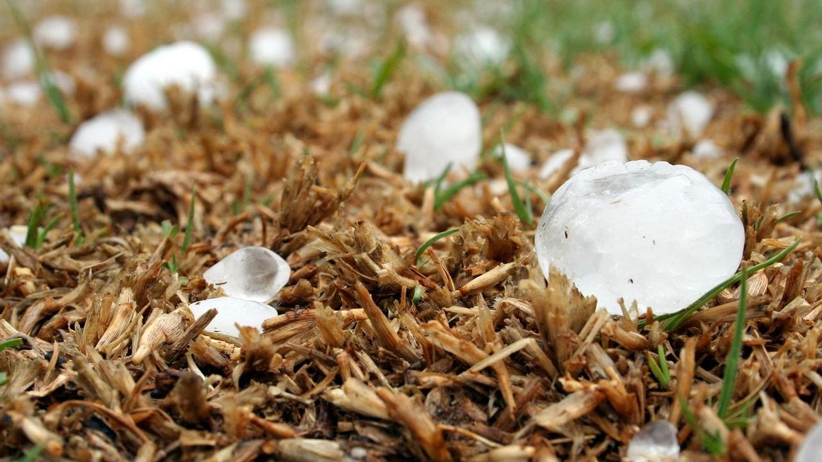 Imagen del granizo en una tormenta reciente.