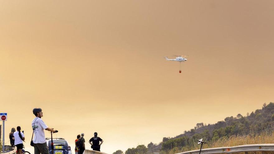 Miguel Ángel Soto, Greenpeace: "La polarización del debate y los bulos sobre incendios impiden abordar el problema con el rigor necesario"