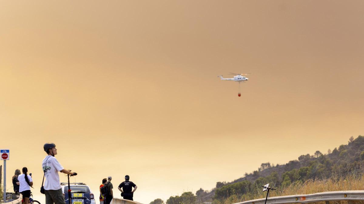 INCENDIOS ESPAÑA | Miguel Ángel Soto, Greenpeace: «La polarización del debate y los bulos sobre incendios impiden abordar el problema con el rigor necesario»