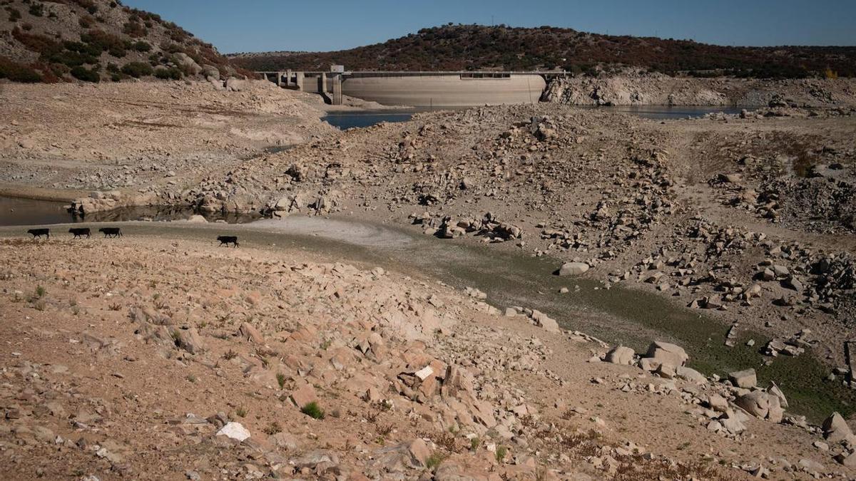 Embalse en Ávila, afectado por la sequía