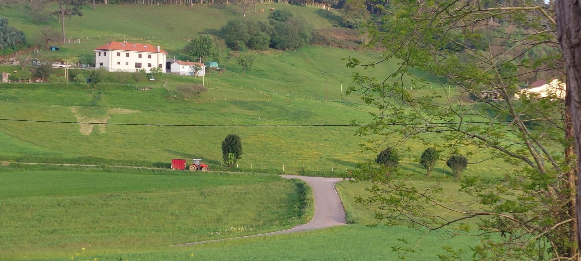 Arlós, un mar de verde en la zona rural de Llanera: así es la parroquia de espectacular paisaje y guardesa de un templo románico