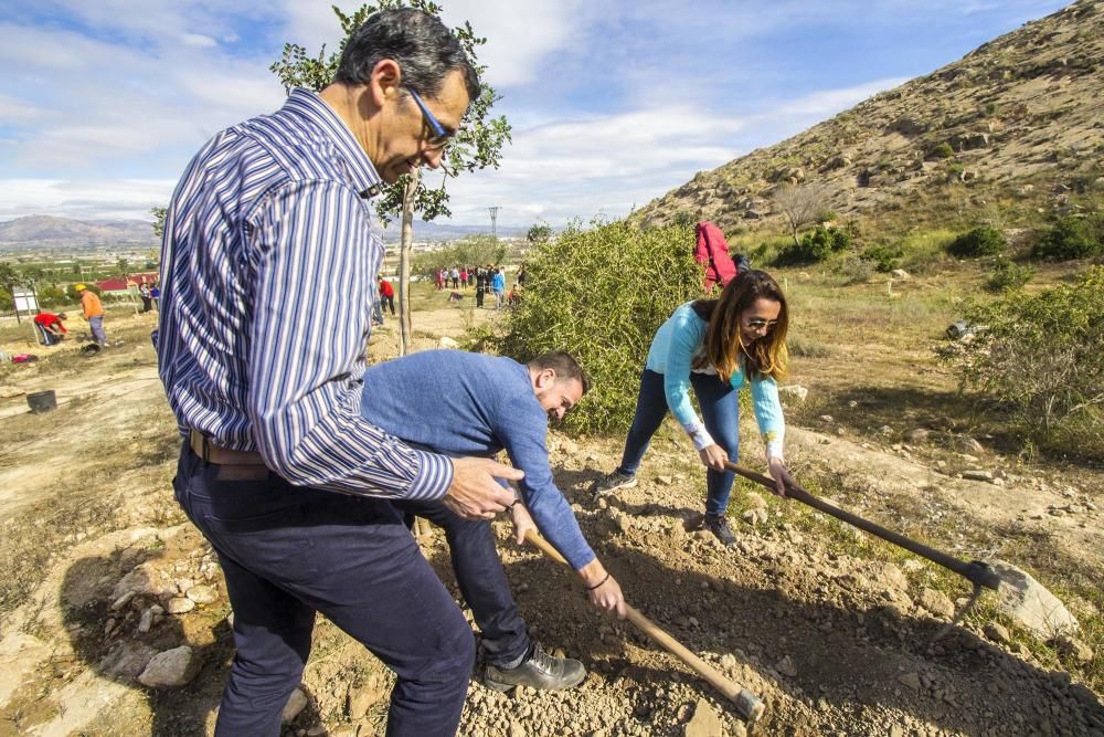 Proyecto para convertir la cantera de Cox en zona verde