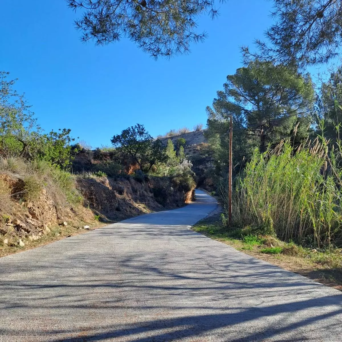 Altura concluye las obras de mejora en el camino del paraje del Berro