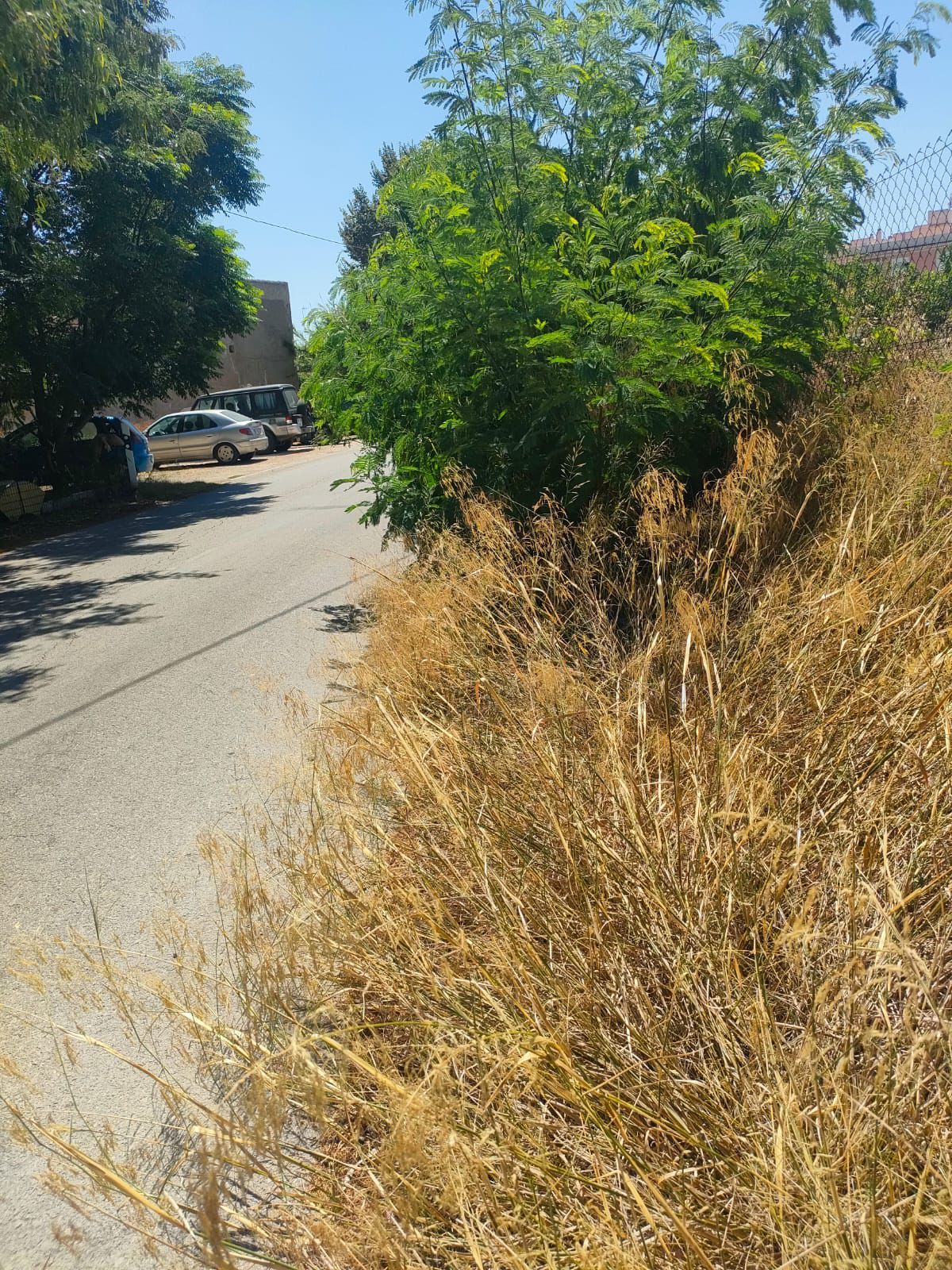 WhatsApp Image 2025-09-30 at 21.34.20 (2).jpeg