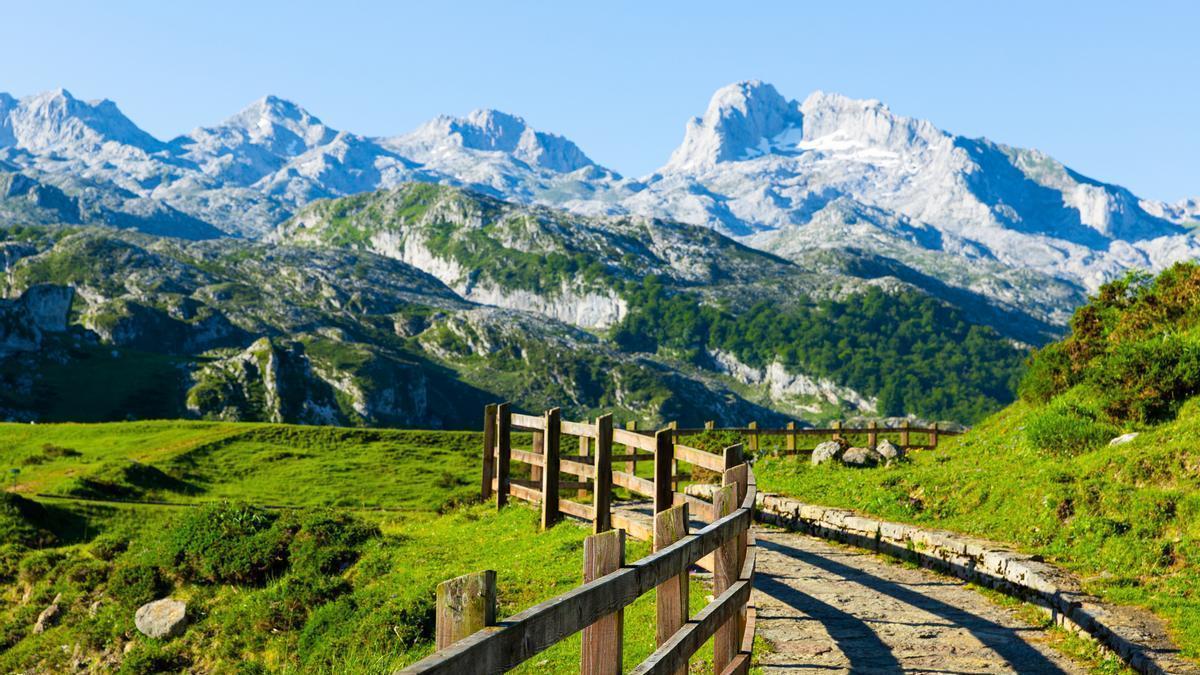 Picos de Europa