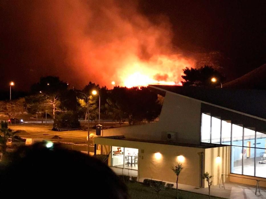 Un gran incendio forestal causa alarma en el Port de Pollença (Mallorca)