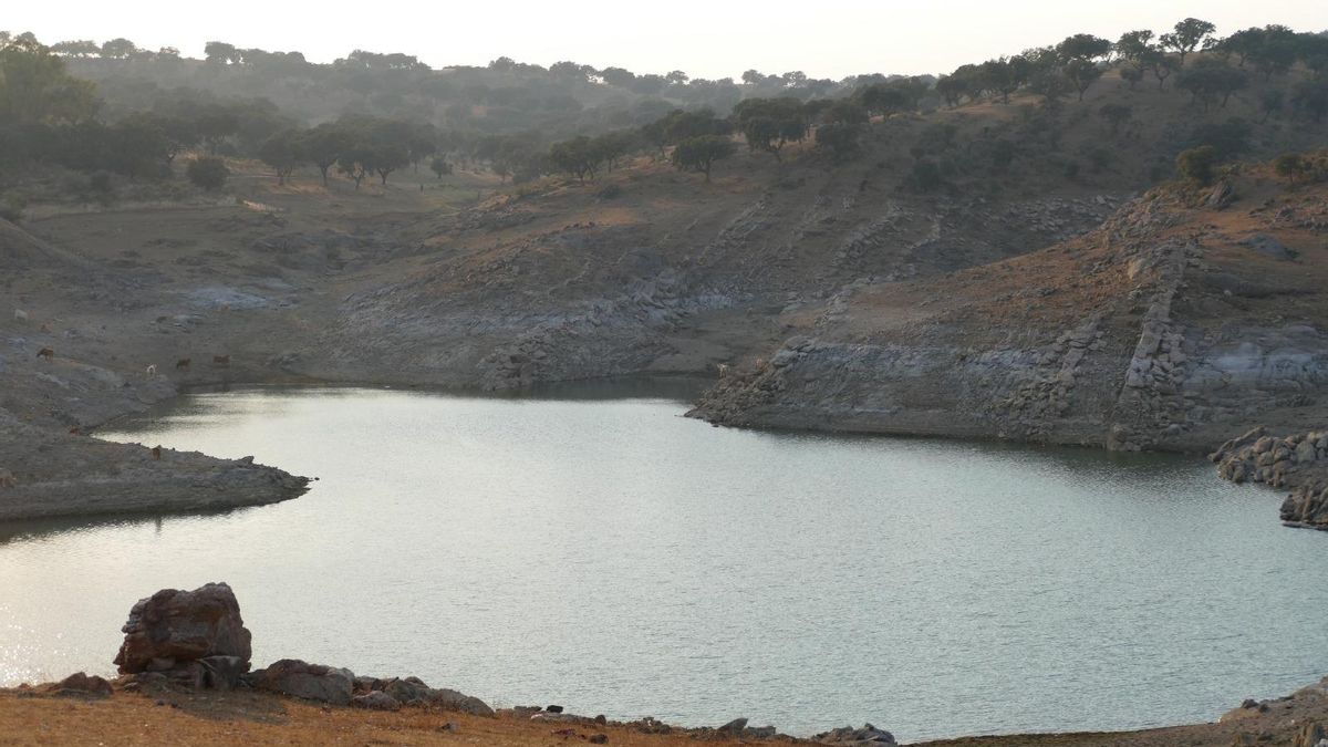 Estado del embalse de Valdecañas.