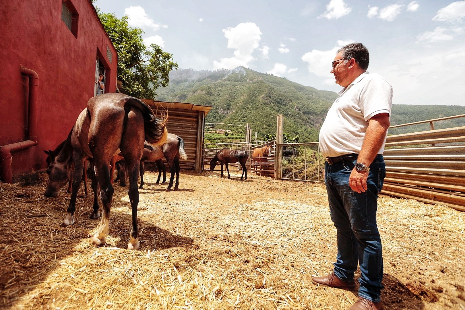 Atención a los animales desalojados por el incendio