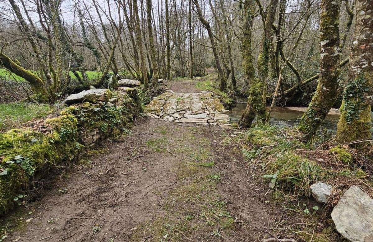 Resultado de los trabajos realizados. |