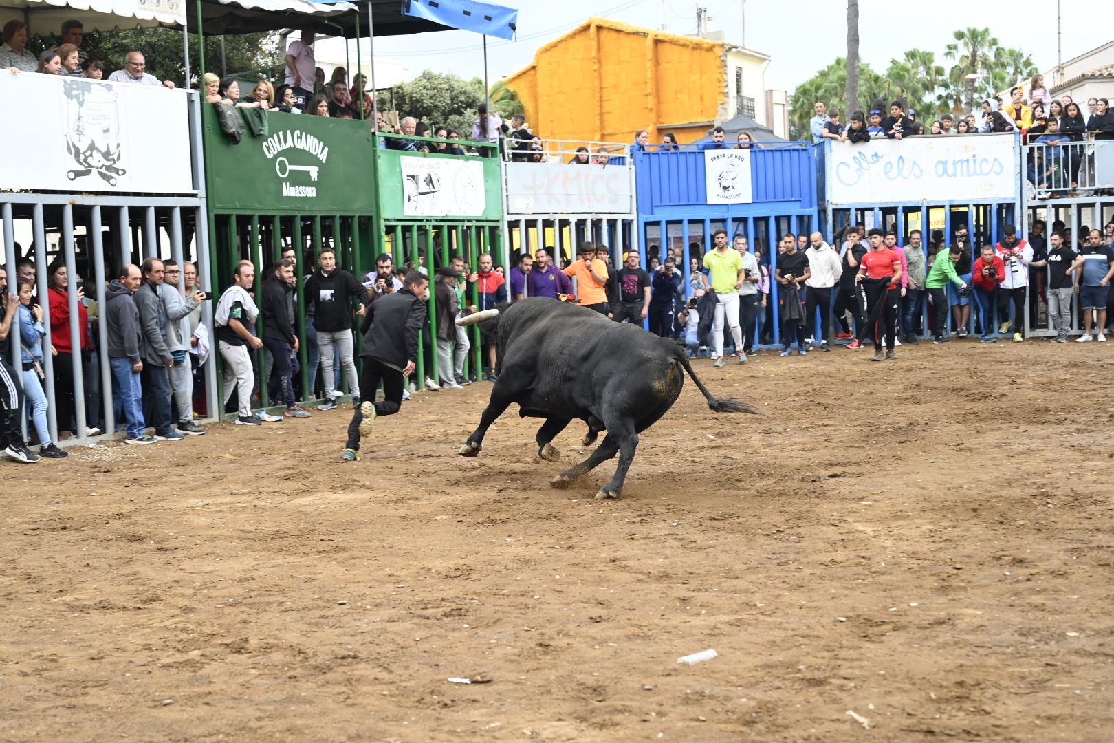 Galería | Las imágenes de la penúltima tarde de toros de las fiestas de Almassora