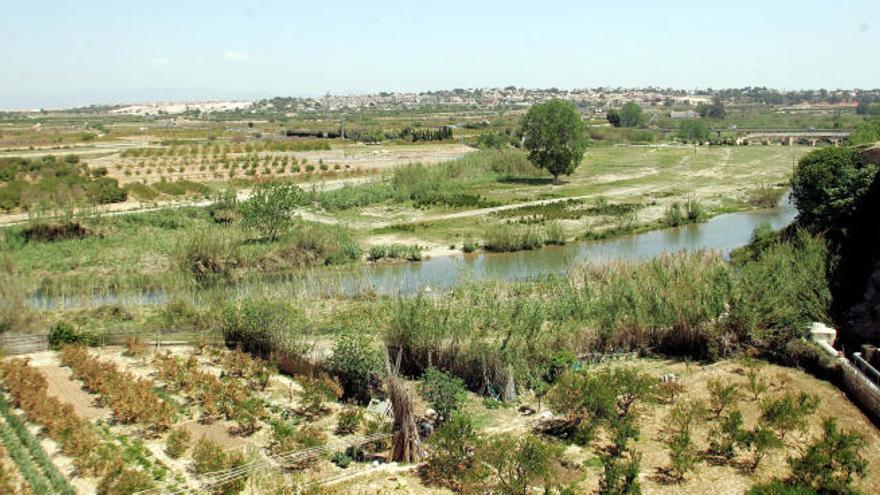 Cultivos en el paraje de Porxinos.