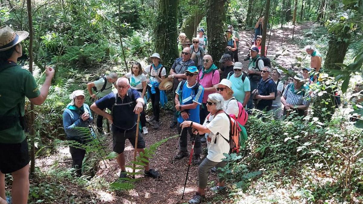 Ruta de senderismo de mayores por Bergantiños | L.O.