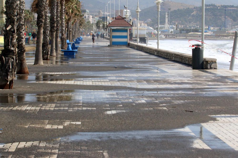 Málaga capital vive una jornada marcada por el fuerte viento, que ha afectado a playas y paseos marítimos y ha obligado a cortas las comunicaciones marítimas con Melilla.