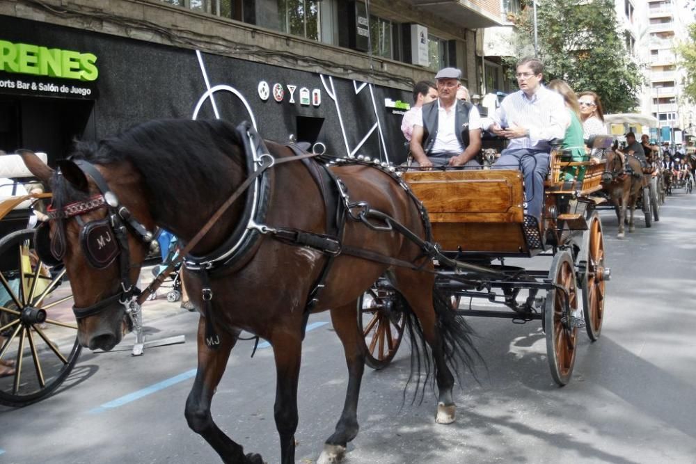 Día del Caballo en Alfonso X